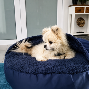 Blanket dog beds S (55cm)