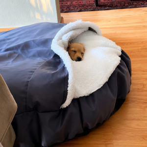 Blanket dog beds Large (75cm)