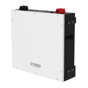 Dyness Lithium battery